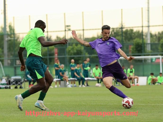 开云体育app下载-多个英超球队:分析多个英超球队的综合实力与赛季表现