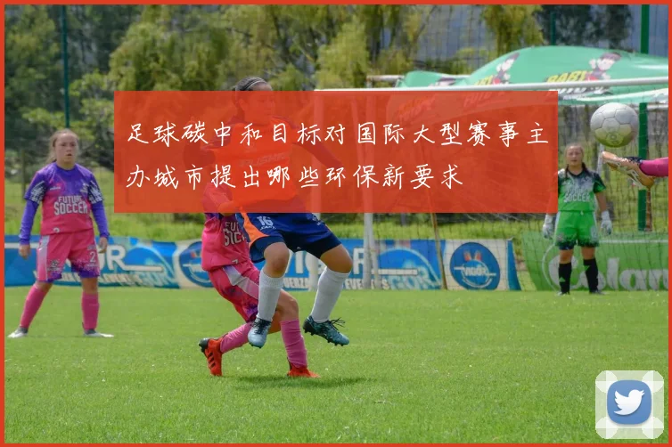 足球碳中和目标对国际大型赛事主办城市提出哪些环保新要求