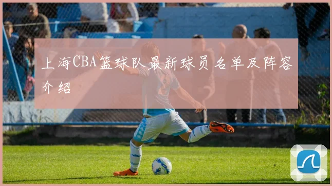 上海CBA篮球队最新球员名单及阵容介绍