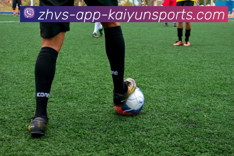 开云体育全站App 开云体育全站App